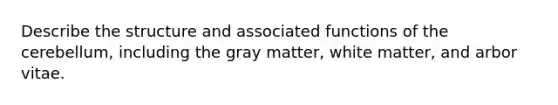 Describe the structure and associated functions of the cerebellum, including the gray matter, white matter, and arbor vitae.