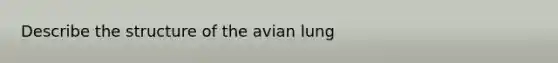 Describe the structure of the avian lung