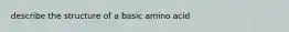 describe the structure of a basic amino acid