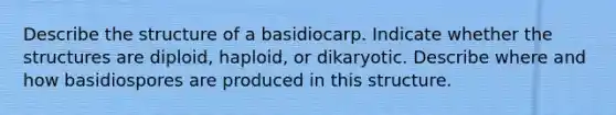 Describe the structure of a basidiocarp. Indicate whether the structures are diploid, haploid, or dikaryotic. Describe where and how basidiospores are produced in this structure.