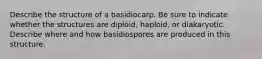 Describe the structure of a basidiocarp. Be sure to indicate whether the structures are diploid, haploid, or diakaryotic. Describe where and how basidiospores are produced in this structure.