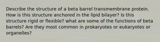 Describe the structure of a beta barrel transmembrane protein. How is this structure anchored in the lipid bilayer? Is this structure rigid or flexible? what are some of the functions of beta barrels? Are they most common in prokaryotes or eukaryotes or organelles?