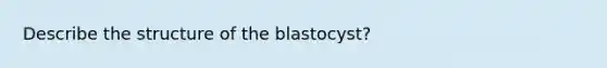 Describe the structure of the blastocyst?