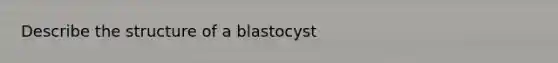 Describe the structure of a blastocyst