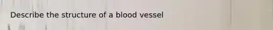 Describe the structure of a blood vessel