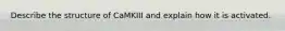Describe the structure of CaMKIII and explain how it is activated.
