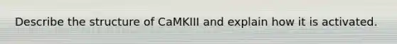 Describe the structure of CaMKIII and explain how it is activated.