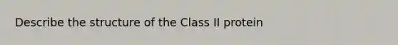 Describe the structure of the Class II protein