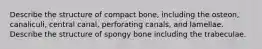 Describe the structure of compact bone, including the osteon, canaliculi, central canal, perforating canals, and lamellae. Describe the structure of spongy bone including the trabeculae.