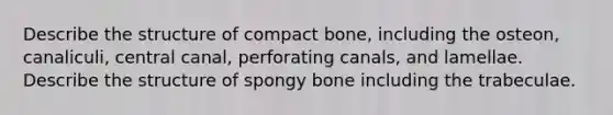 Describe the structure of compact bone, including the osteon, canaliculi, central canal, perforating canals, and lamellae. Describe the structure of spongy bone including the trabeculae.