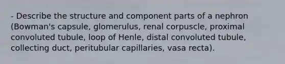 - Describe the structure and component parts of a nephron (Bowman's capsule, glomerulus, renal corpuscle, proximal convoluted tubule, loop of Henle, distal convoluted tubule, collecting duct, peritubular capillaries, vasa recta).