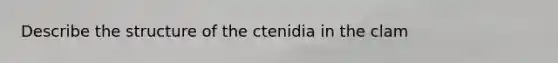 Describe the structure of the ctenidia in the clam