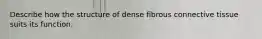 Describe how the structure of dense fibrous connective tissue suits its function.