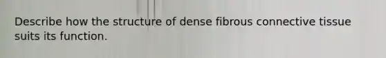 Describe how the structure of dense fibrous connective tissue suits its function.