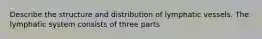Describe the structure and distribution of lymphatic vessels. The lymphatic system consists of three parts