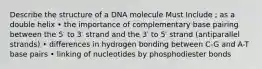 Describe the structure of a DNA molecule Must Include ; as a double helix • the importance of complementary base pairing between the 5′ to 3′ strand and the 3′ to 5′ strand (antiparallel strands) • differences in hydrogen bonding between C-G and A-T base pairs • linking of nucleotides by phosphodiester bonds