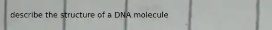 describe the structure of a DNA molecule