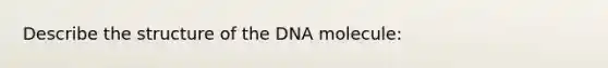 Describe the structure of the DNA molecule: