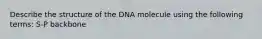 Describe the structure of the DNA molecule using the following terms: S-P backbone