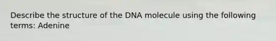 Describe the structure of the DNA molecule using the following terms: Adenine