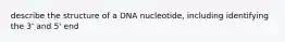 describe the structure of a DNA nucleotide, including identifying the 3' and 5' end