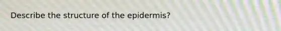 Describe the structure of the epidermis?