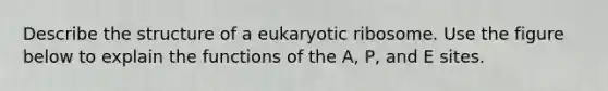 Describe the structure of a eukaryotic ribosome. Use the figure below to explain the functions of the A, P, and E sites.