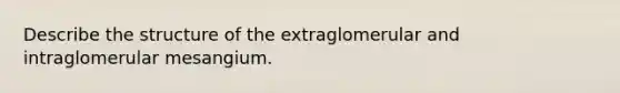 Describe the structure of the extraglomerular and intraglomerular mesangium.