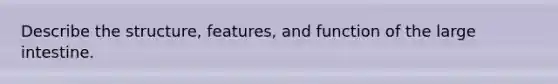 Describe the structure, features, and function of the large intestine.