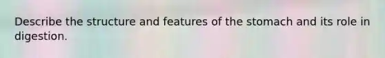 Describe the structure and features of the stomach and its role in digestion.