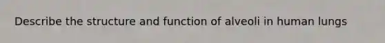 Describe the structure and function of alveoli in human lungs