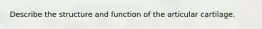 Describe the structure and function of the articular cartilage.