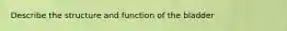 Describe the structure and function of the bladder