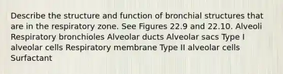 Describe the structure and function of bronchial structures that are in the respiratory zone. See Figures 22.9 and 22.10. Alveoli Respiratory bronchioles Alveolar ducts Alveolar sacs Type I alveolar cells Respiratory membrane Type II alveolar cells Surfactant