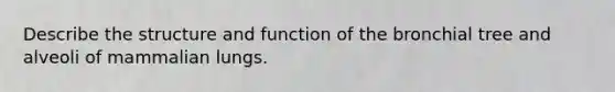 Describe the structure and function of the bronchial tree and alveoli of mammalian lungs.