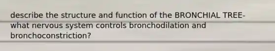 describe the structure and function of the BRONCHIAL TREE- what <a href='https://www.questionai.com/knowledge/kThdVqrsqy-nervous-system' class='anchor-knowledge'>nervous system</a> controls bronchodilation and bronchoconstriction?