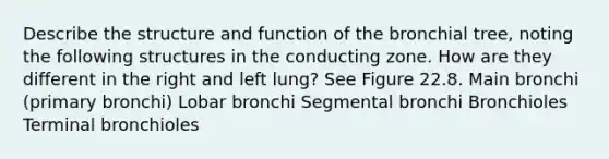 Describe the structure and function of the bronchial tree, noting the following structures in the conducting zone. How are they different in the right and left lung? See Figure 22.8. Main bronchi (primary bronchi) Lobar bronchi Segmental bronchi Bronchioles Terminal bronchioles