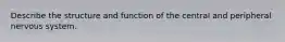 Describe the structure and function of the central and peripheral nervous system.