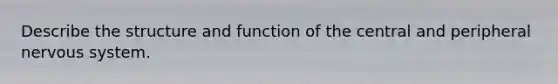 Describe the structure and function of the central and peripheral nervous system.