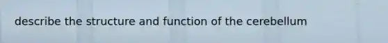 describe the structure and function of the cerebellum