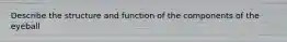 Describe the structure and function of the components of the eyeball