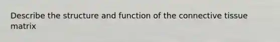 Describe the structure and function of the connective tissue matrix