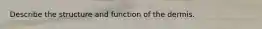 Describe the structure and function of the dermis.