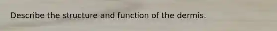 Describe the structure and function of the dermis.