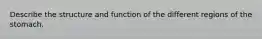 Describe the structure and function of the different regions of the stomach.