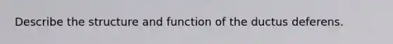 Describe the structure and function of the ductus deferens.