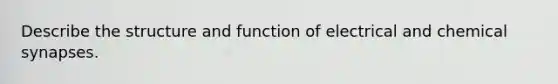 Describe the structure and function of electrical and chemical synapses.