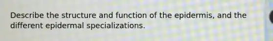 Describe the structure and function of the epidermis, and the different epidermal specializations.