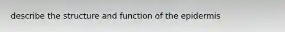 describe the structure and function of the epidermis