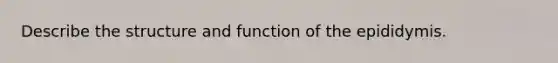 Describe the structure and function of the epididymis.